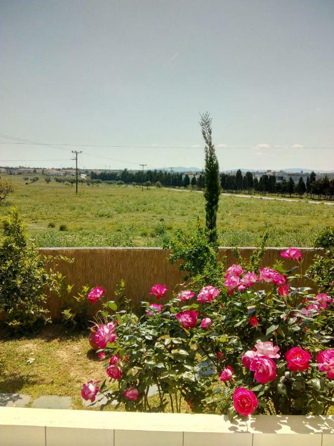 Studio Poseidonia Apartment 75Sqm Corinth Canal Bagian luar foto