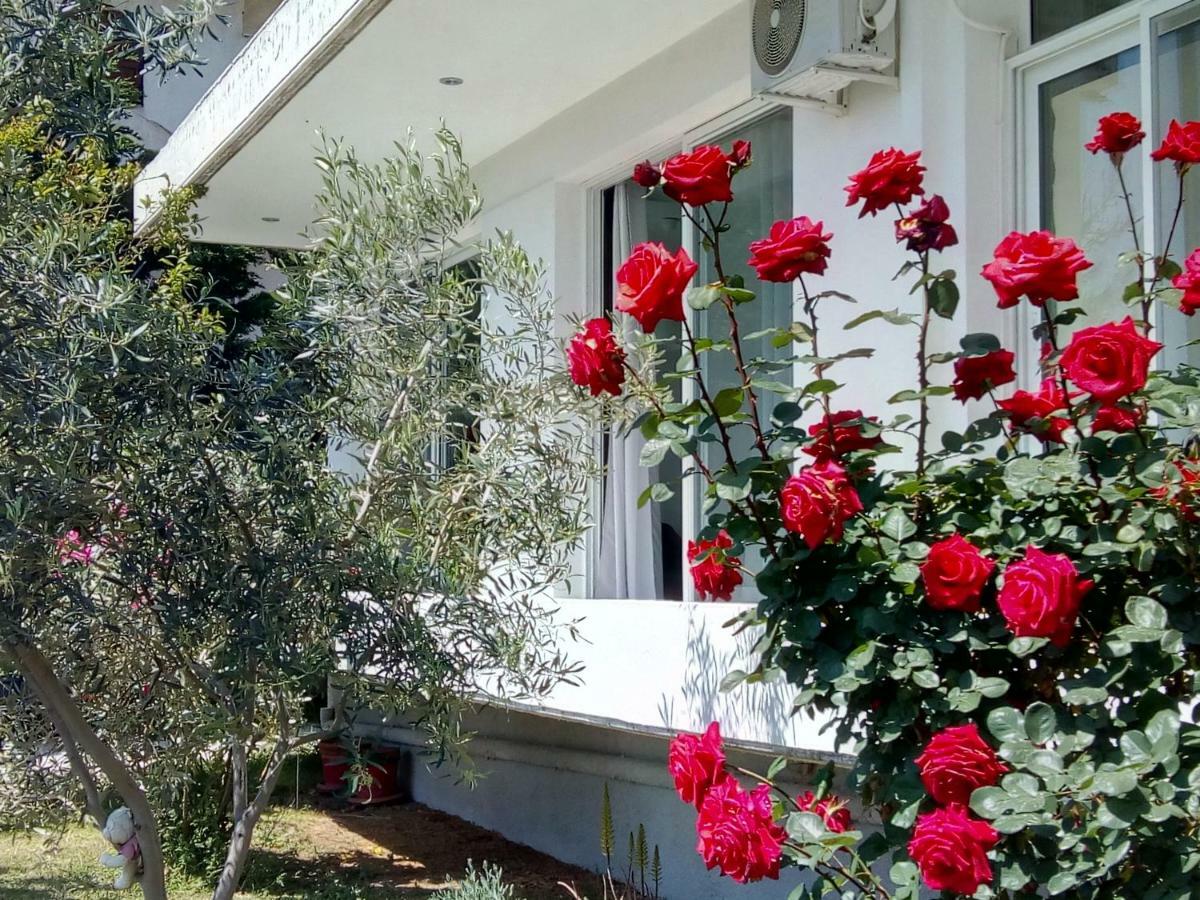 Studio Poseidonia Apartment 75Sqm Corinth Canal Bagian luar foto